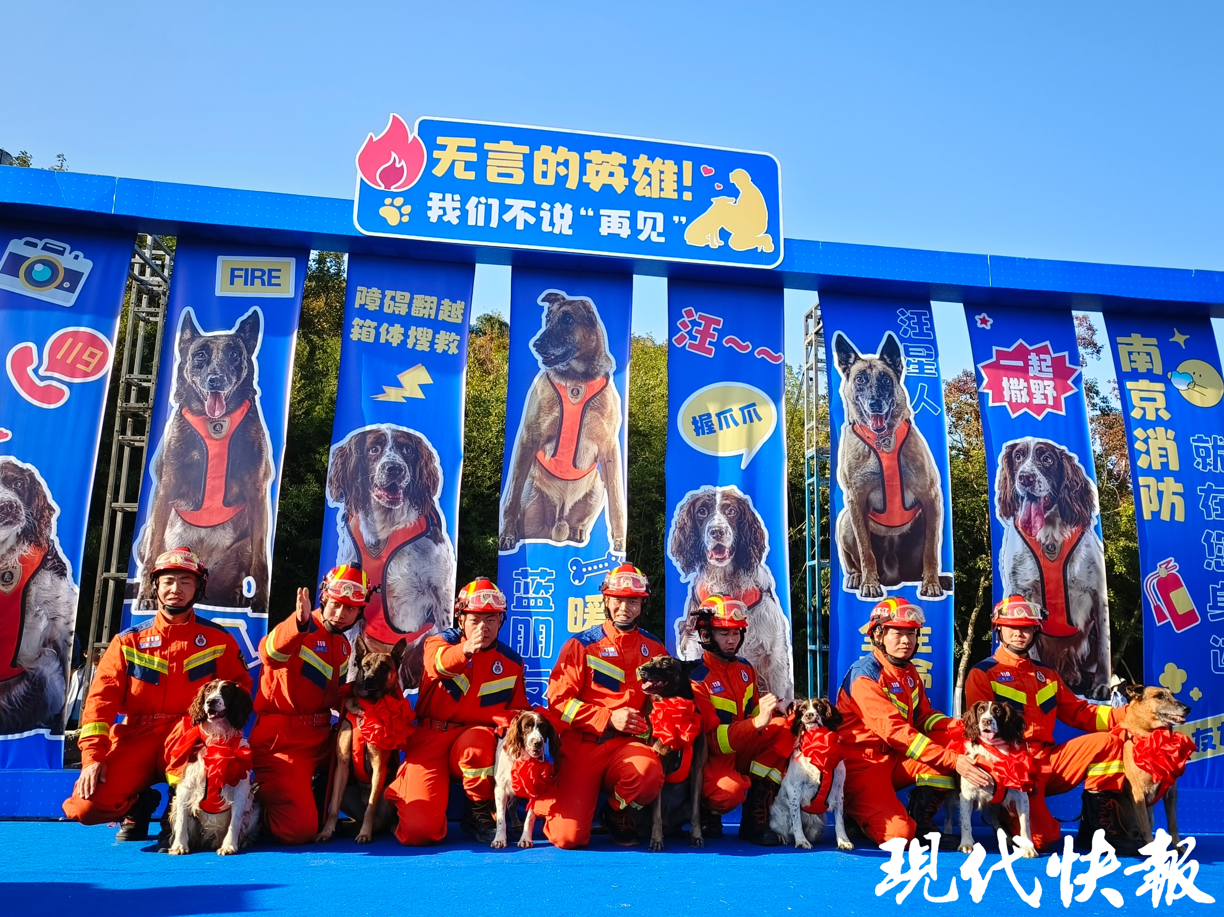 共同见证！南京消防7只搜救犬胸戴大红花退役