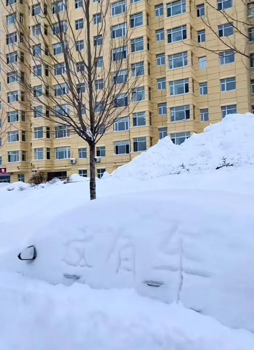 鹤岗暴雪过后，车主开启挖宝寻车模式